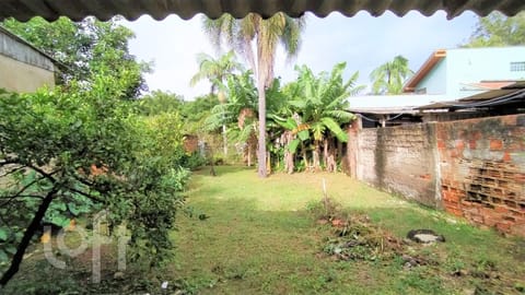 Image 10 - 240081